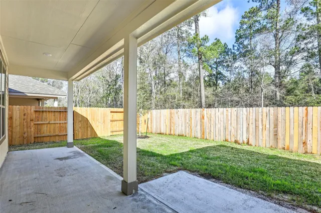 a view of backyard with large tree