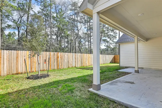 a view of a back yard