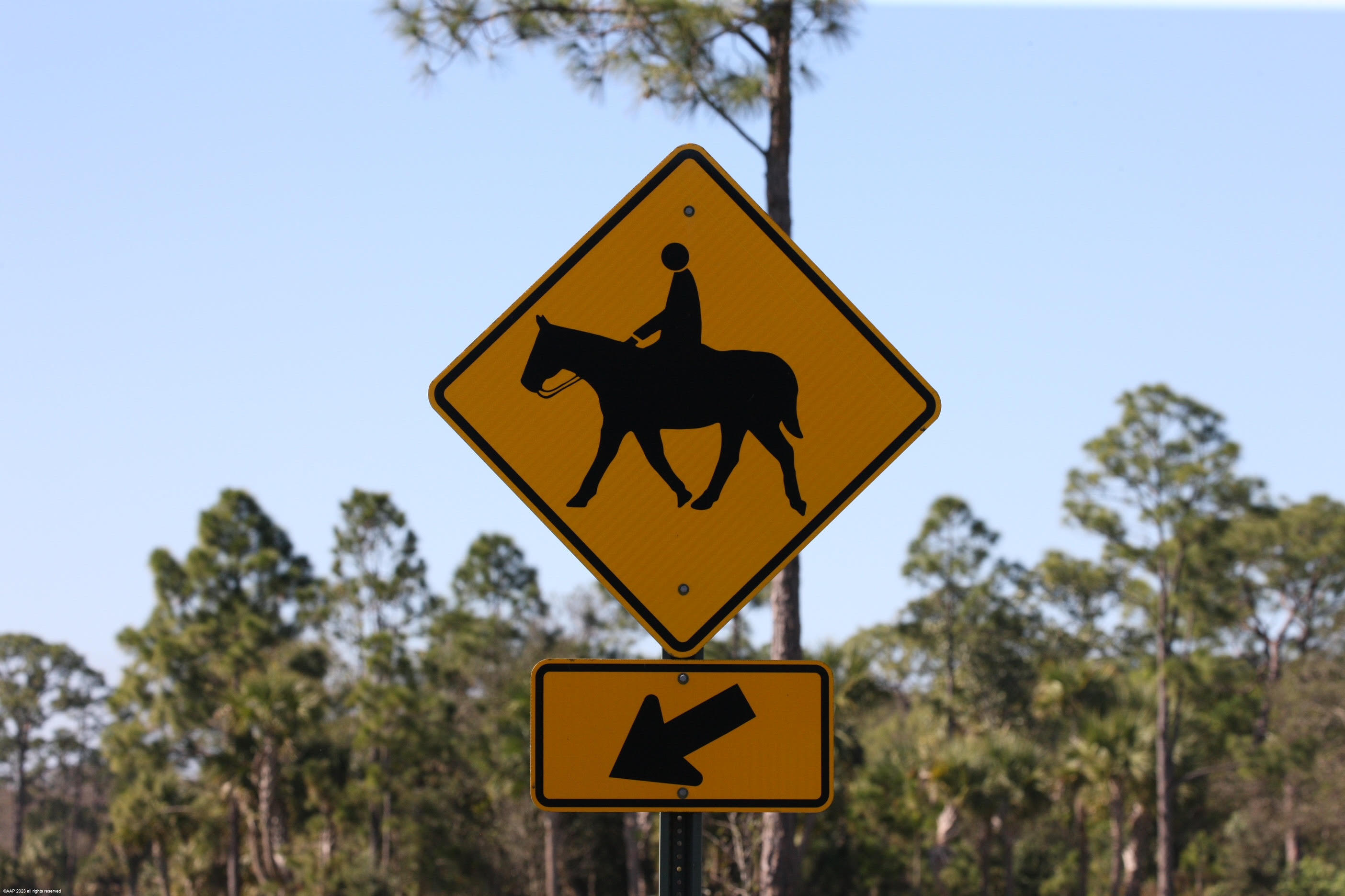 16127 Cadence Pass Jupiter, FL 33478 - Photo 63 of 65 unnamed-2