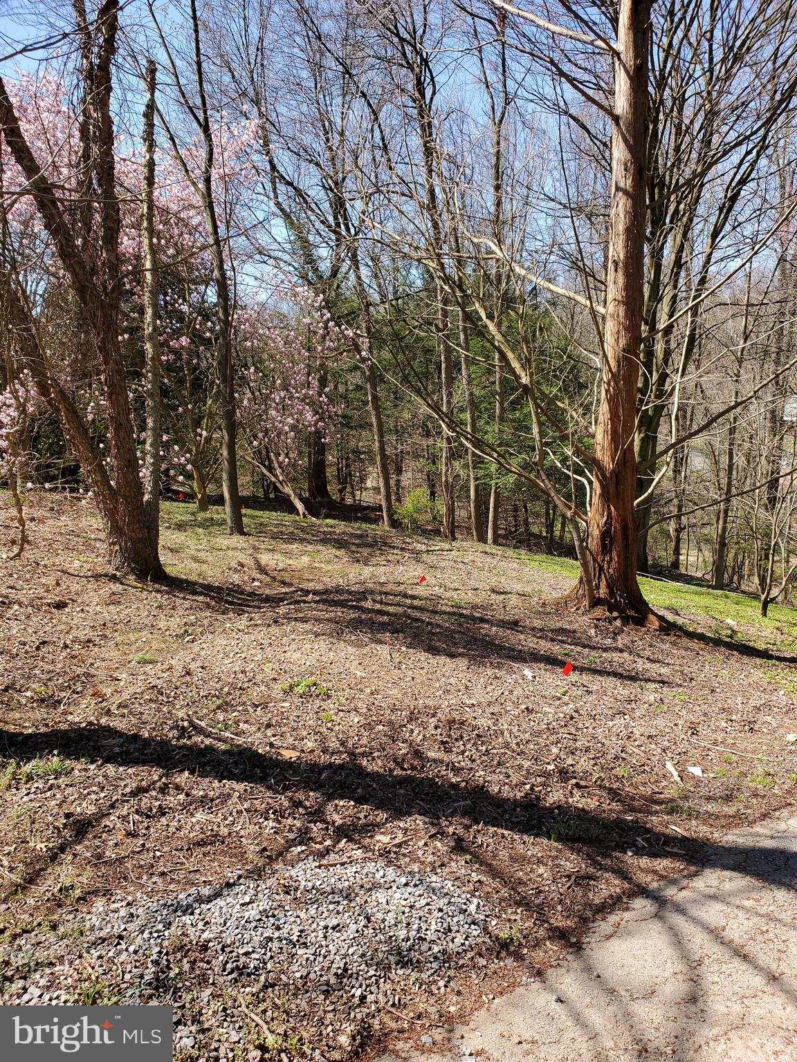 415 Misty Patch Road Coatesville, PA 19320 - Photo 11 of 42 Front yard