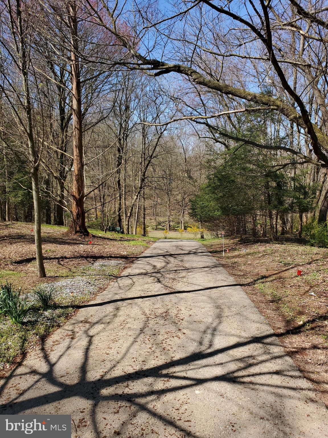 415 Misty Patch Road Coatesville, PA 19320 - Photo 8 of 42 Driveway toward street