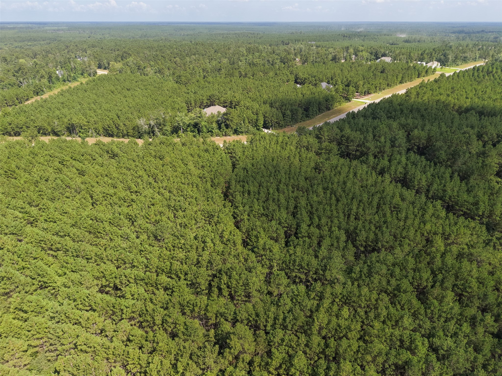 15785 Woodlife Road Willis, TX 77378 - Photo 9 of 12