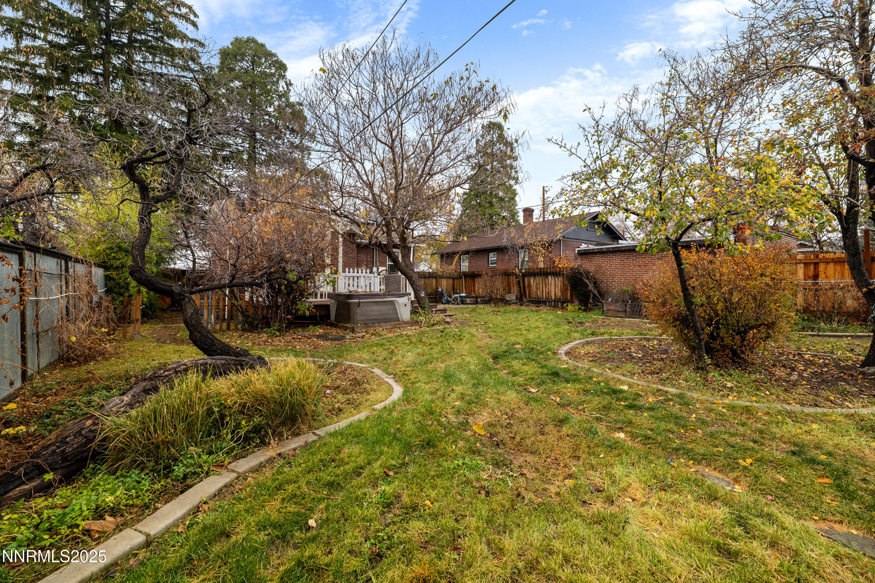 948 Washington Street Reno, NV 89503 - Photo 5 of 29 a view of a yard with plants and large trees