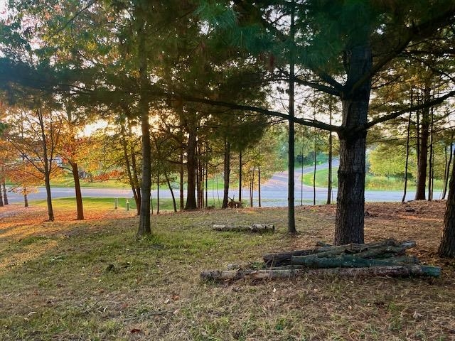 Lot 263 Islanders Way Gladwin, MI 48624 - Photo 8 of 10