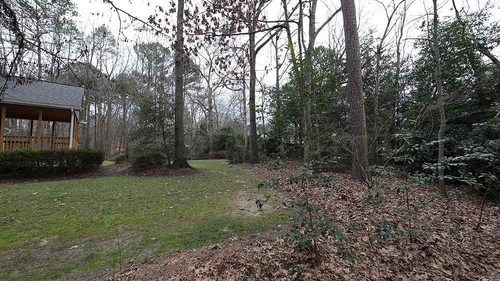 7009 Valley Drive Raleigh, NC 27612 - Photo 12 of 13 Yard