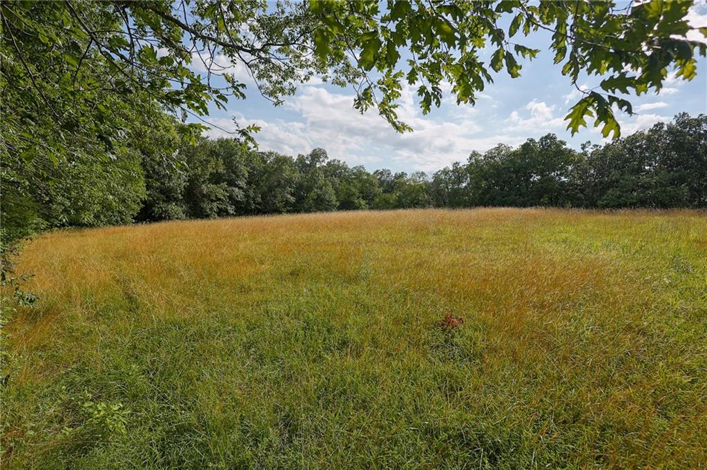 13137 Norris Road Rayville, MO 64084 - Photo 14 of 18