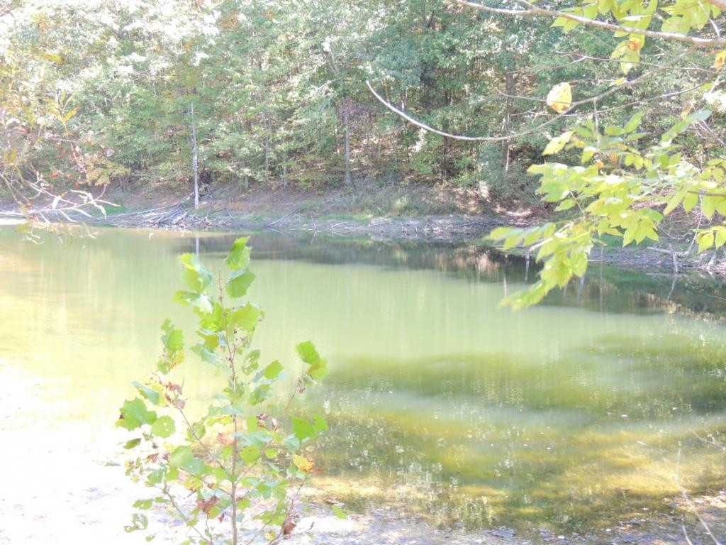 0 Mulberry Branch Road Bulls Gap, TN 37711 - Photo 13 of 17 Photo 13