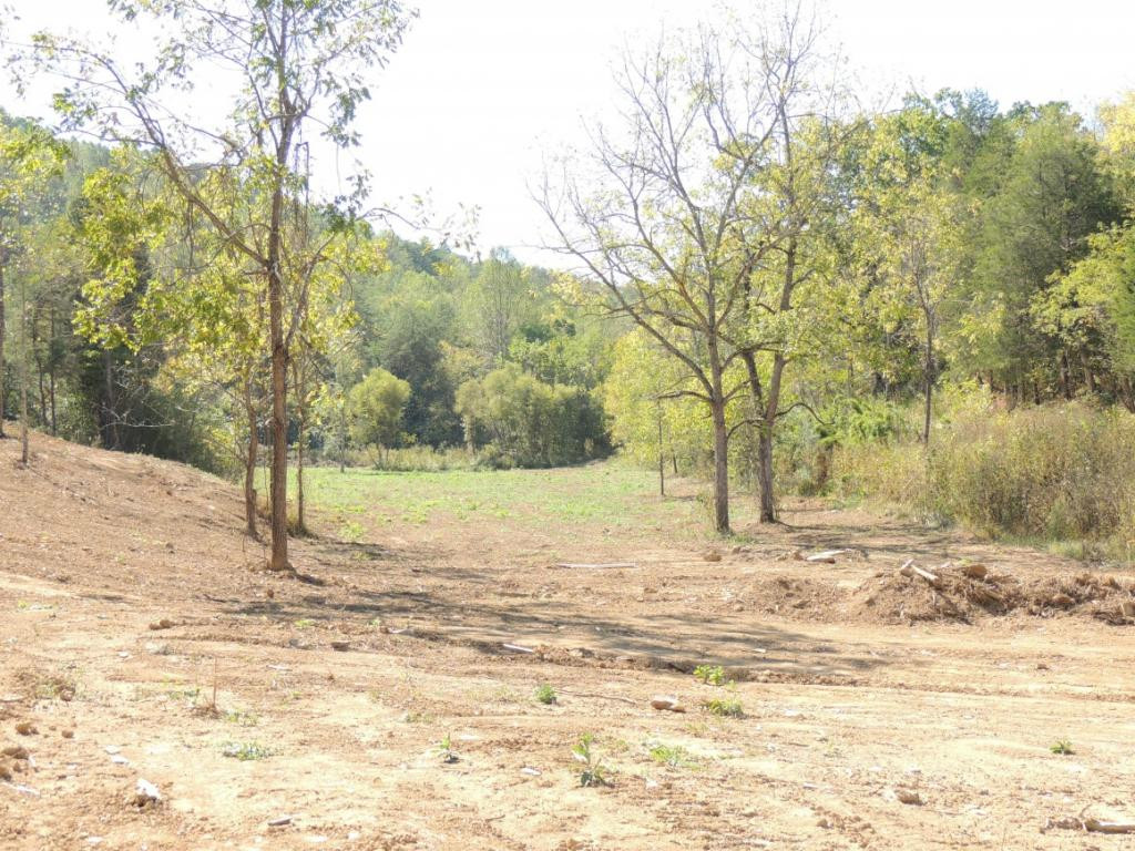 0 Mulberry Branch Road Bulls Gap, TN 37711 - Photo 3 of 17 Photo 3