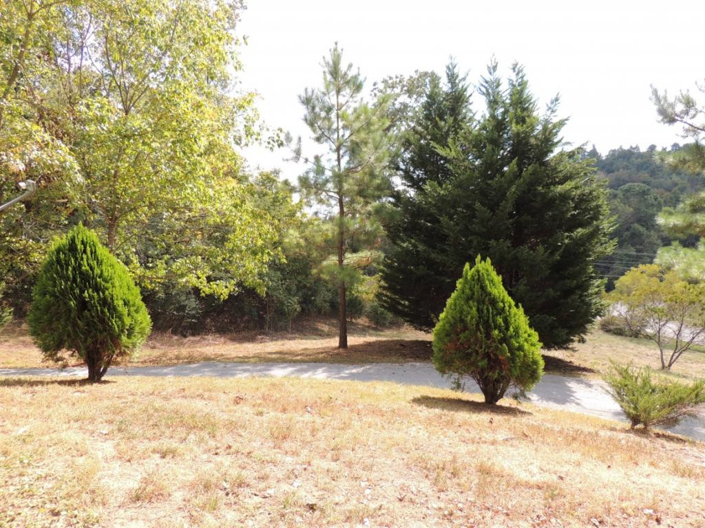 0 Mulberry Branch Road Bulls Gap, TN 37711 - Photo 4 of 17 Photo 4