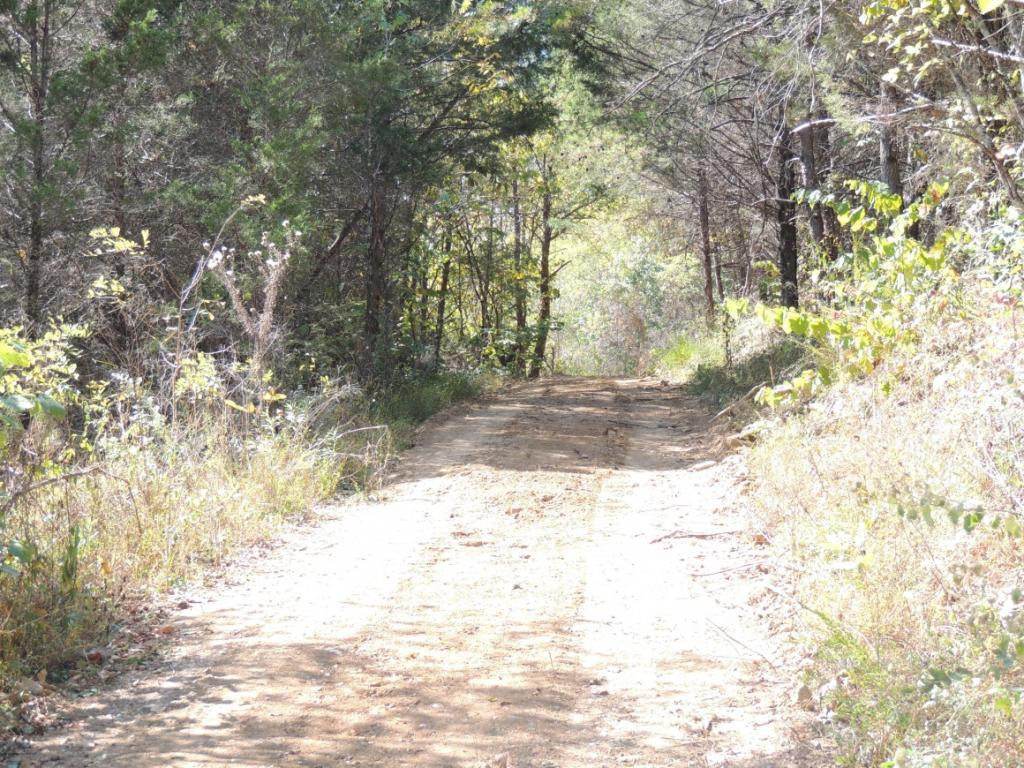 0 Mulberry Branch Road Bulls Gap, TN 37711 - Photo 7 of 17 Photo 7