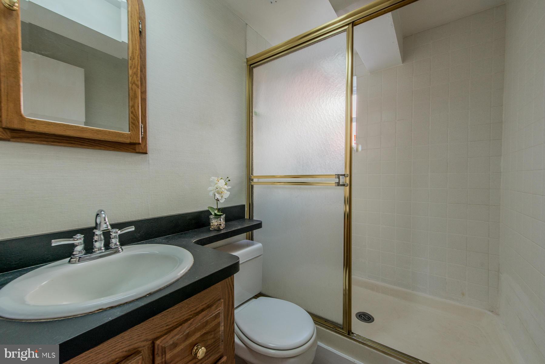 3812 Littleton Street Silver Spring, MD 20906 - Photo 24 of 30 Bath