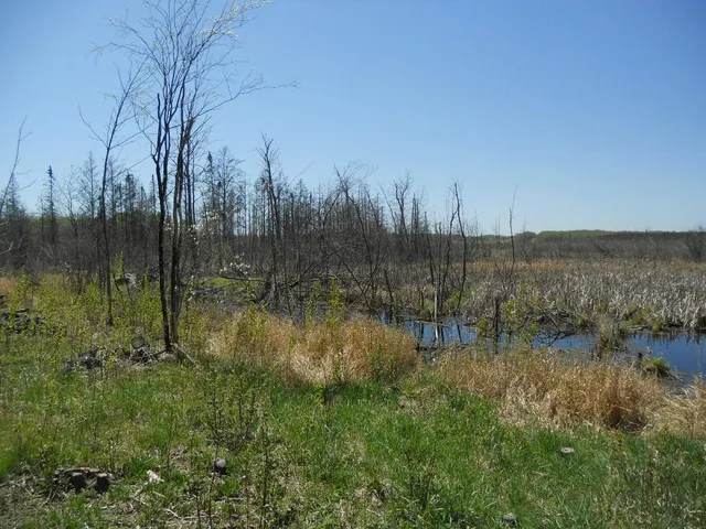 $199,000 | 39769 Kestrel Avenue, Tamarack, MN 55787