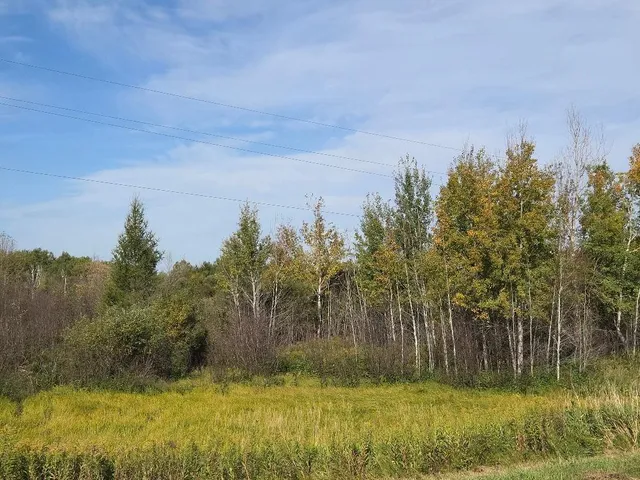 $199,000 | 39769 Kestrel Avenue, Tamarack, MN 55787