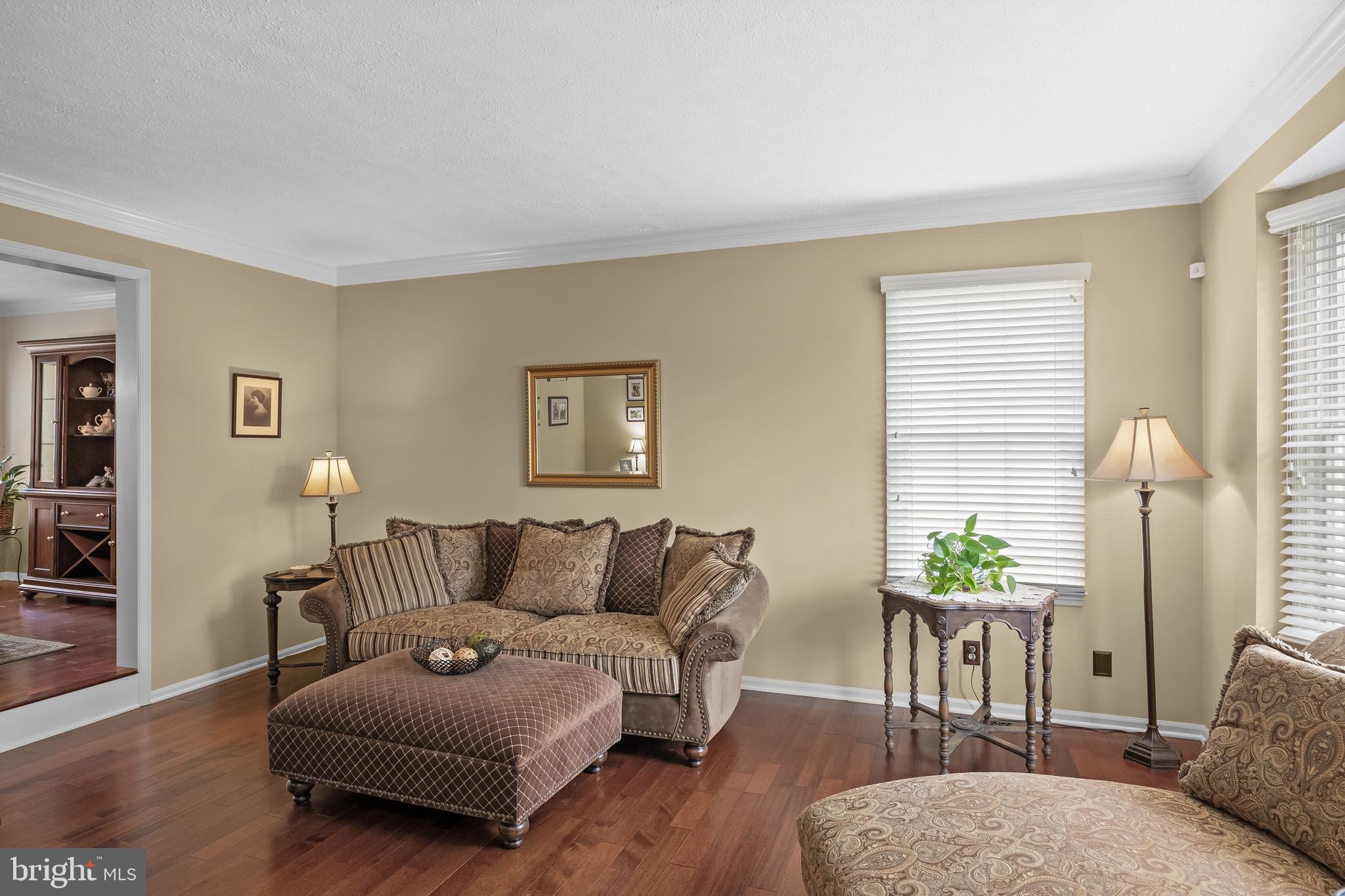 536 Justice Drive Marlton, NJ 08053 - Photo 7 of 44 a living room with furniture and a potted plant