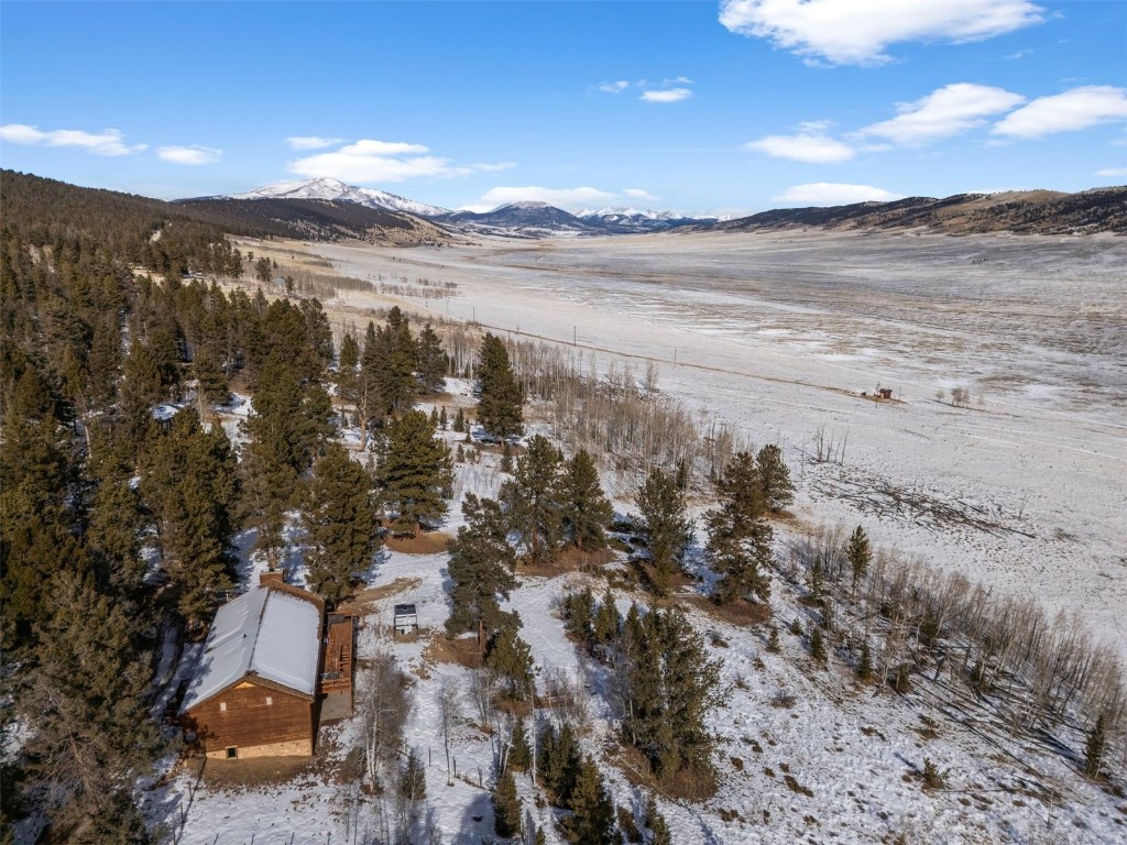 2006 Redhill Road Fairplay, CO 80440 - Photo 1 of 43 Gallery Image 1