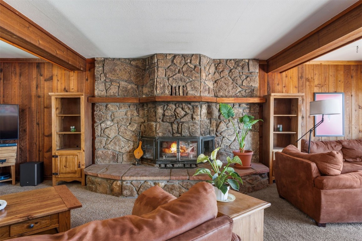 2006 Redhill Road Fairplay, CO 80440 - Photo 13 of 43 Gallery Image 13