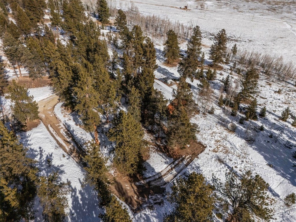 2006 Redhill Road Fairplay, CO 80440 - Photo 39 of 43 Gallery Image 39