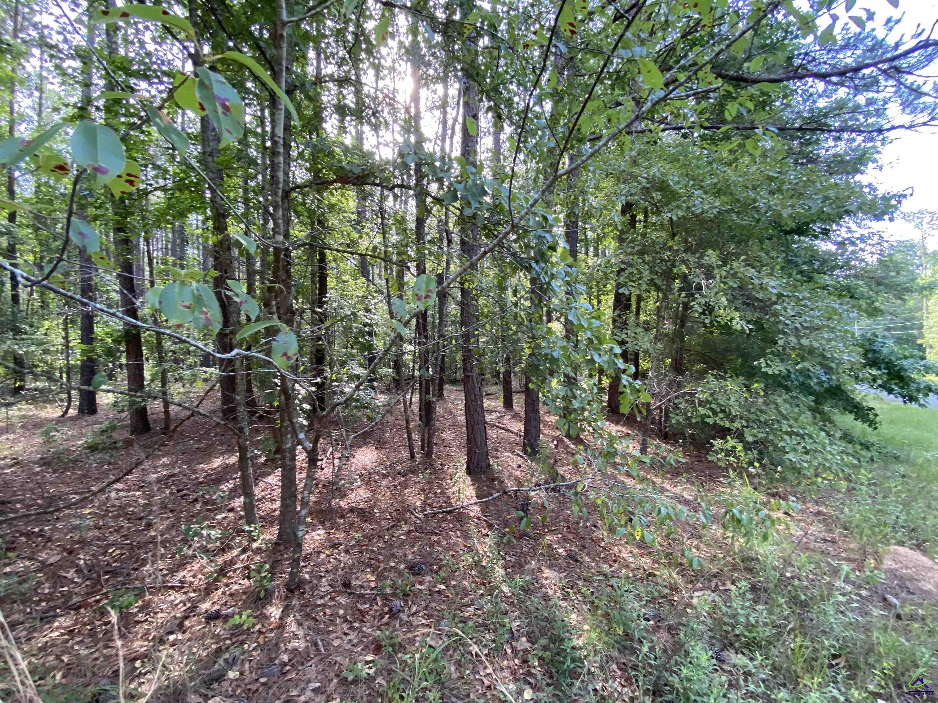 Lot 9 Cherokee Trail Road Eastman, GA 31023 - Photo 14 of 18