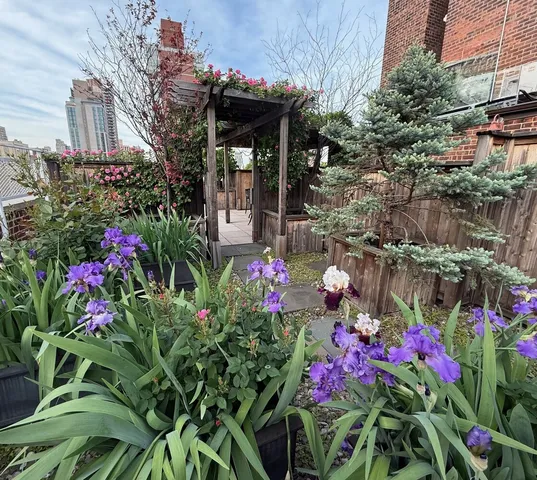 $900,000 | 401 East 74th Street, Unit 10E | Lenox Hill