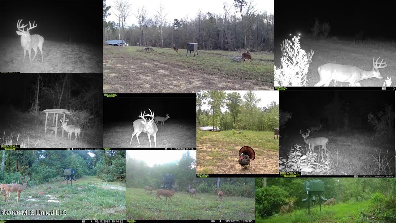 151 Church Hill Road Natchez, MS 39120 - Photo 49 of 50 281 pics Large