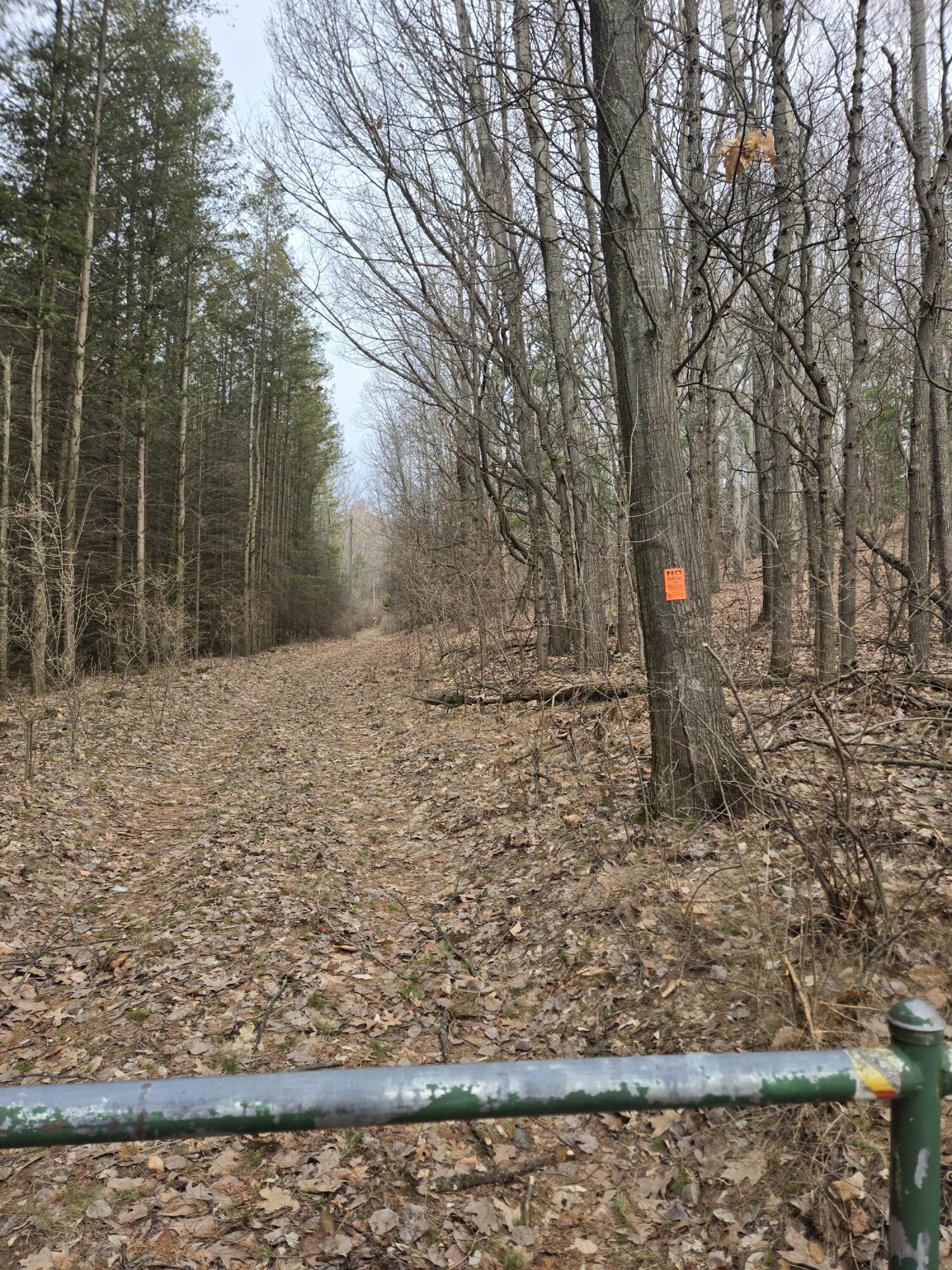 Vl West Deer Road Mears, MI 49436 - Photo 3 of 7 20260331_105420