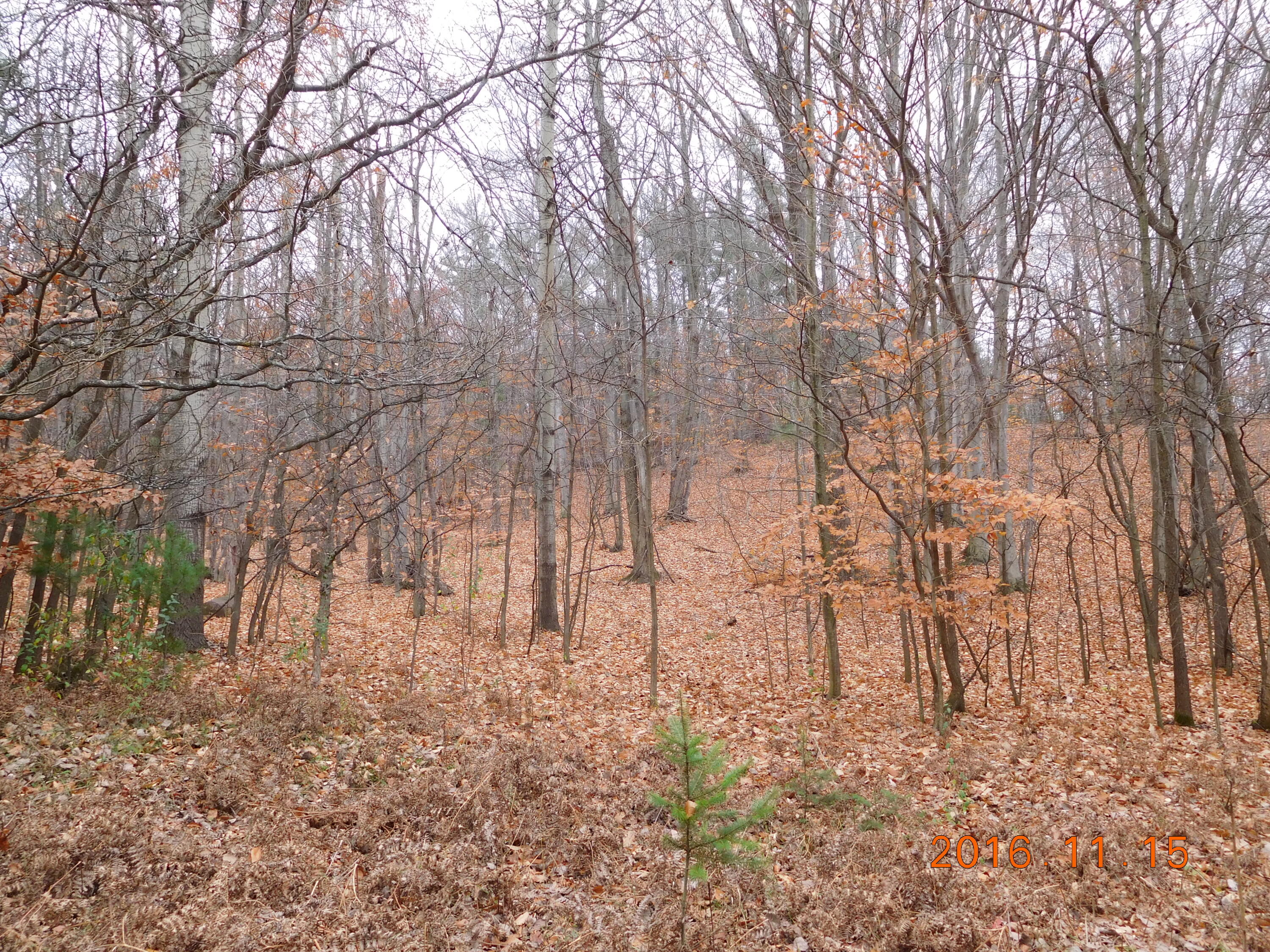 Vl West Deer Road Mears, MI 49436 - Photo 7 of 7 PHOTO 1