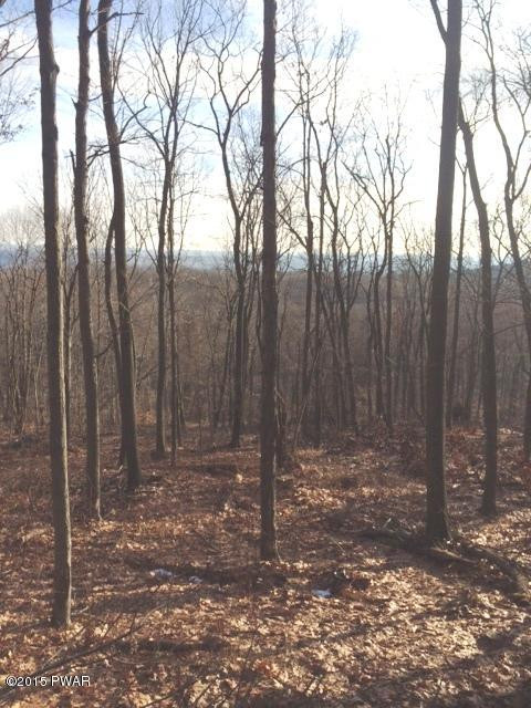 Maple Hill Road Waymart, PA 18472 - Photo 1 of 5 Gallery Image 1