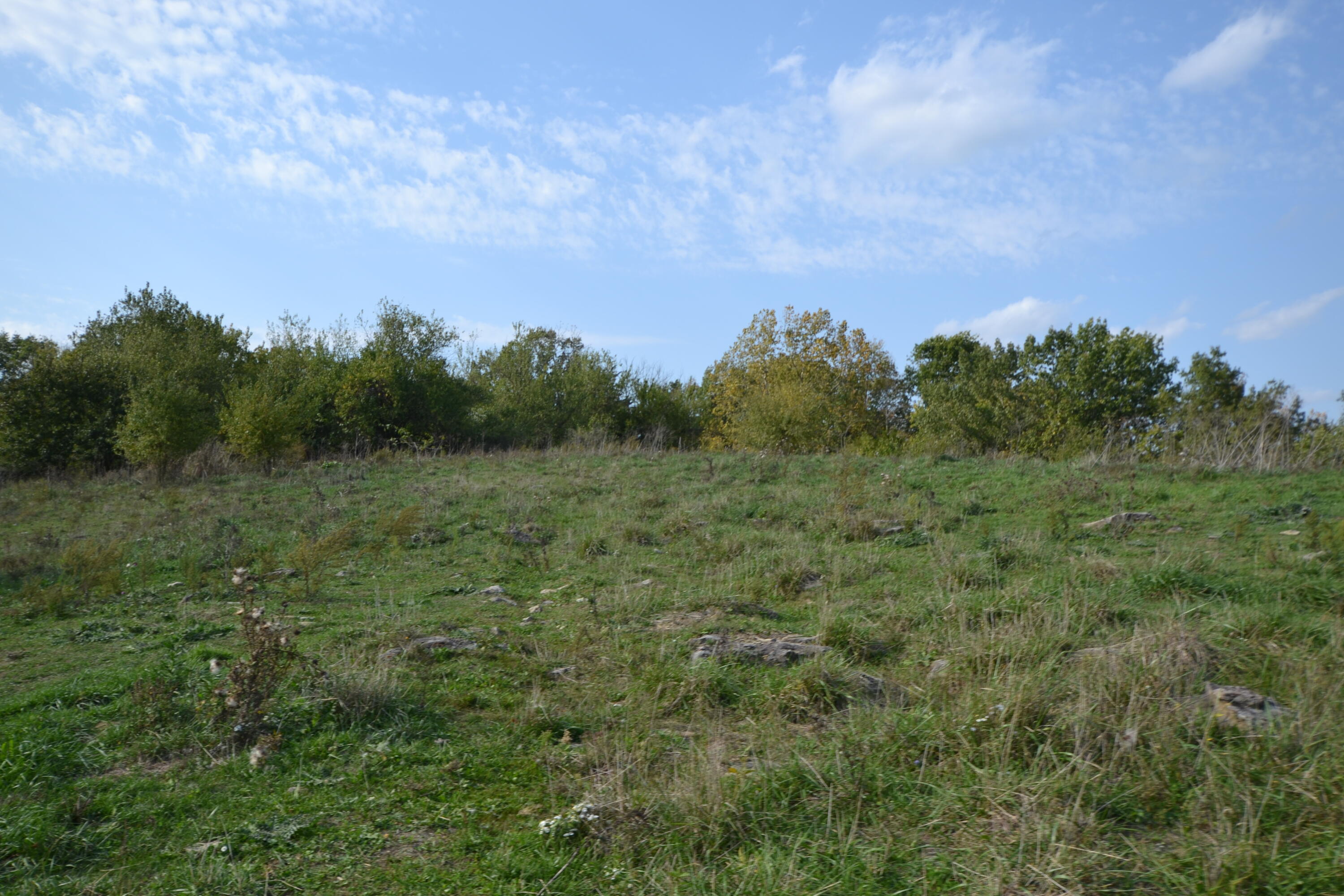 772 Fallis Run Road Harrodsburg, KY 40330 - Photo 20 of 45 DSC_0007