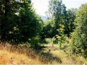 On Sheddsville Road West Windsor, VT 05037 - Photo 1 of 7 Gallery Image 1