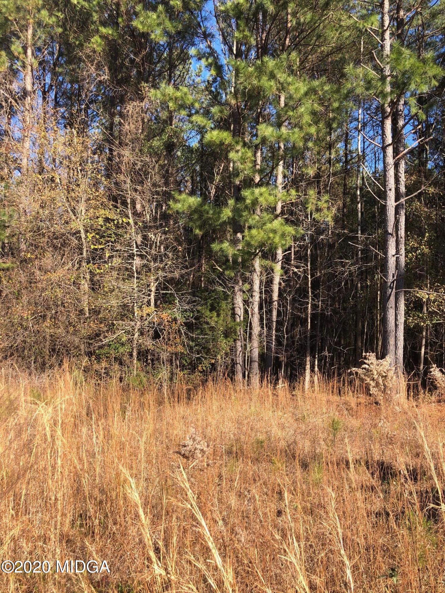 Lot 11 Juliette Road Juliette, GA 31046 - Photo 1 of 4 IMG_7545