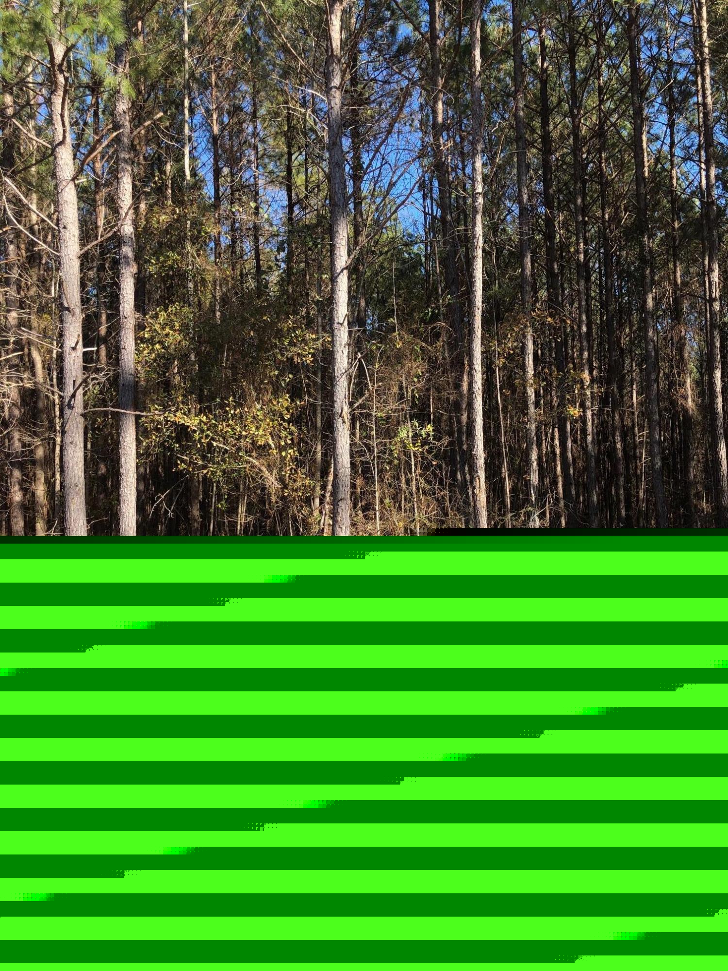 Lot 11 Juliette Road Juliette, GA 31046 - Photo 2 of 4 IMG_7546