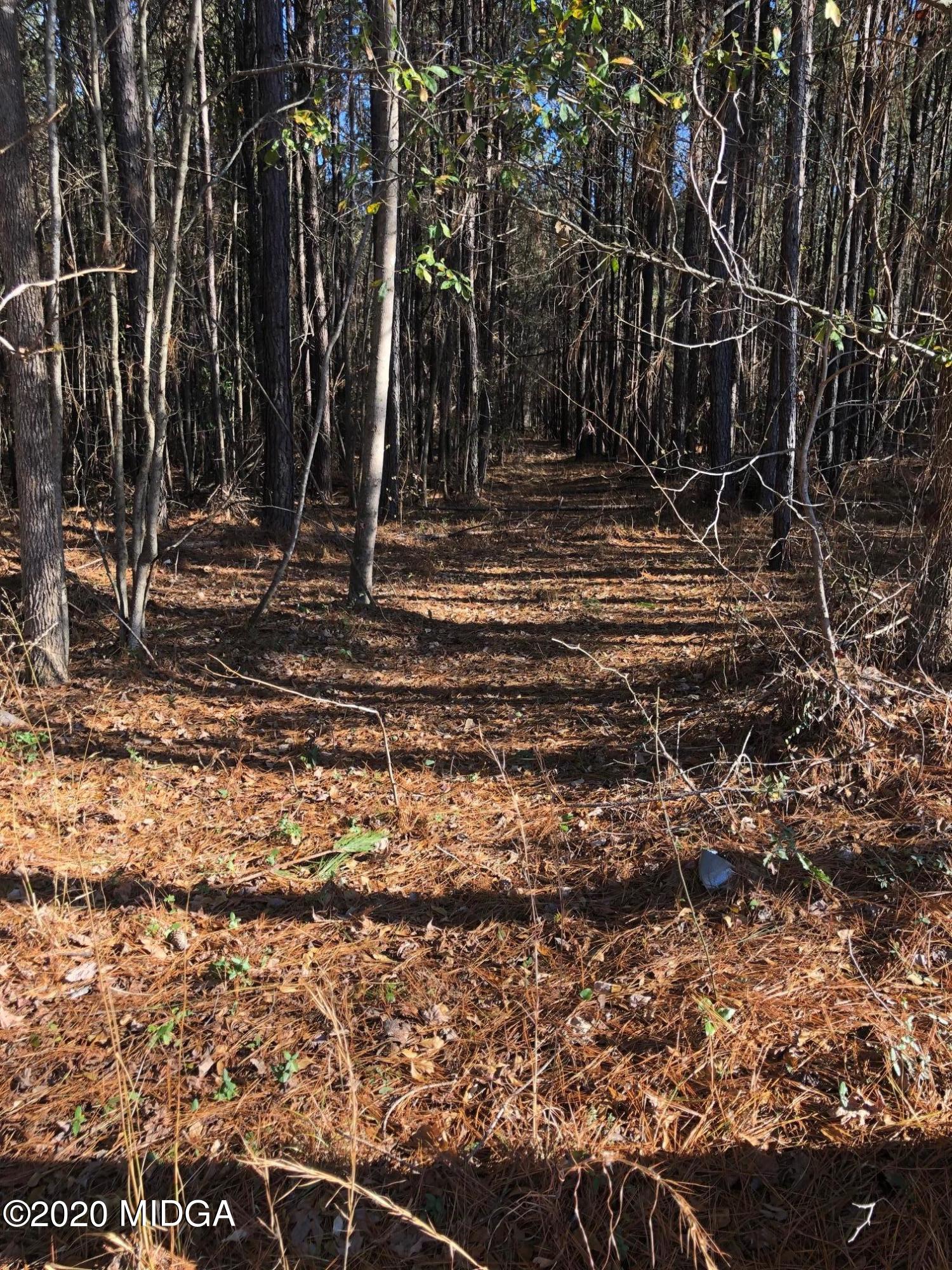 Lot 11 Juliette Road Juliette, GA 31046 - Photo 3 of 4 IMG_7547
