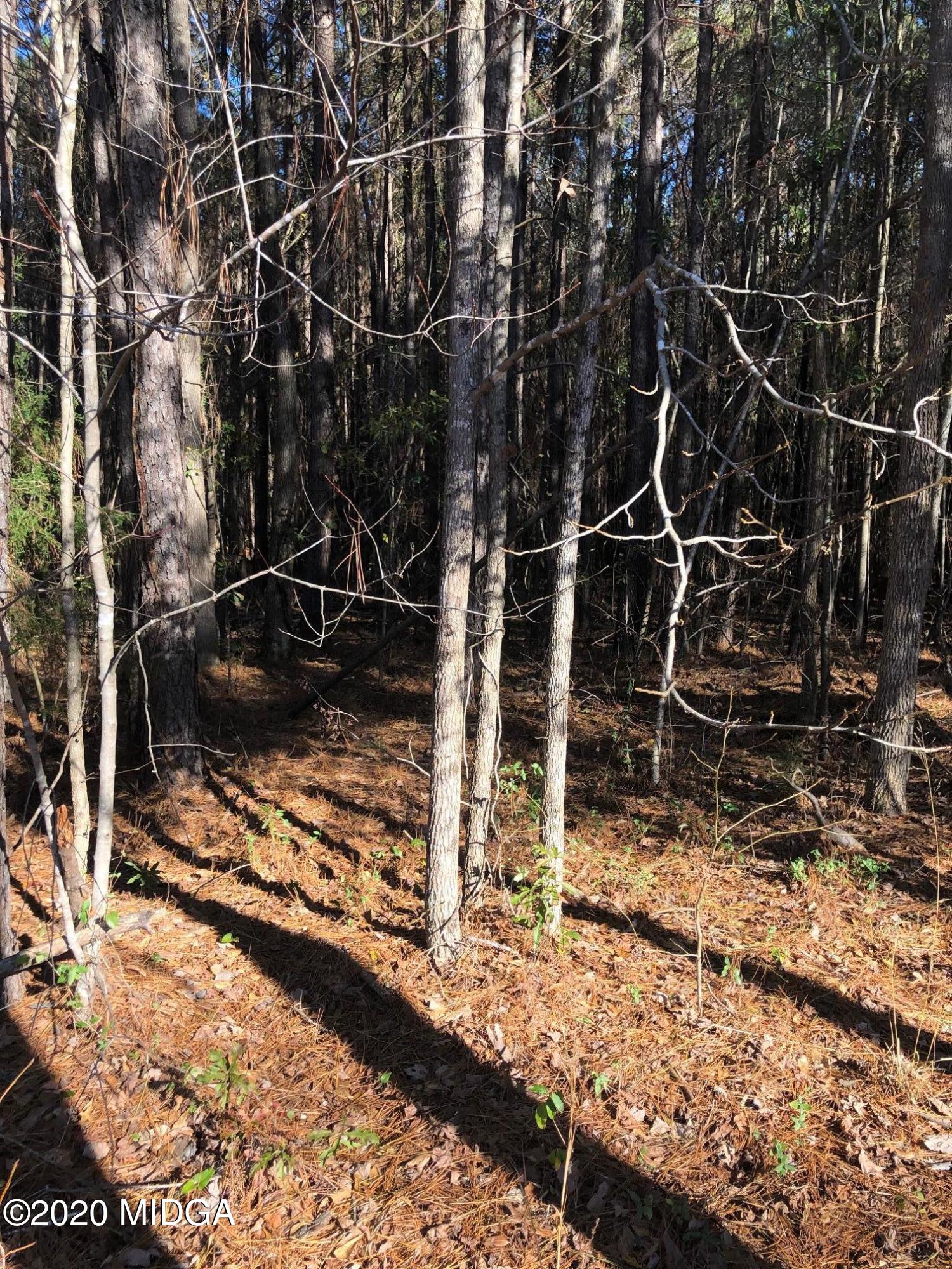 Lot 11 Juliette Road Juliette, GA 31046 - Photo 4 of 4 IMG_7548