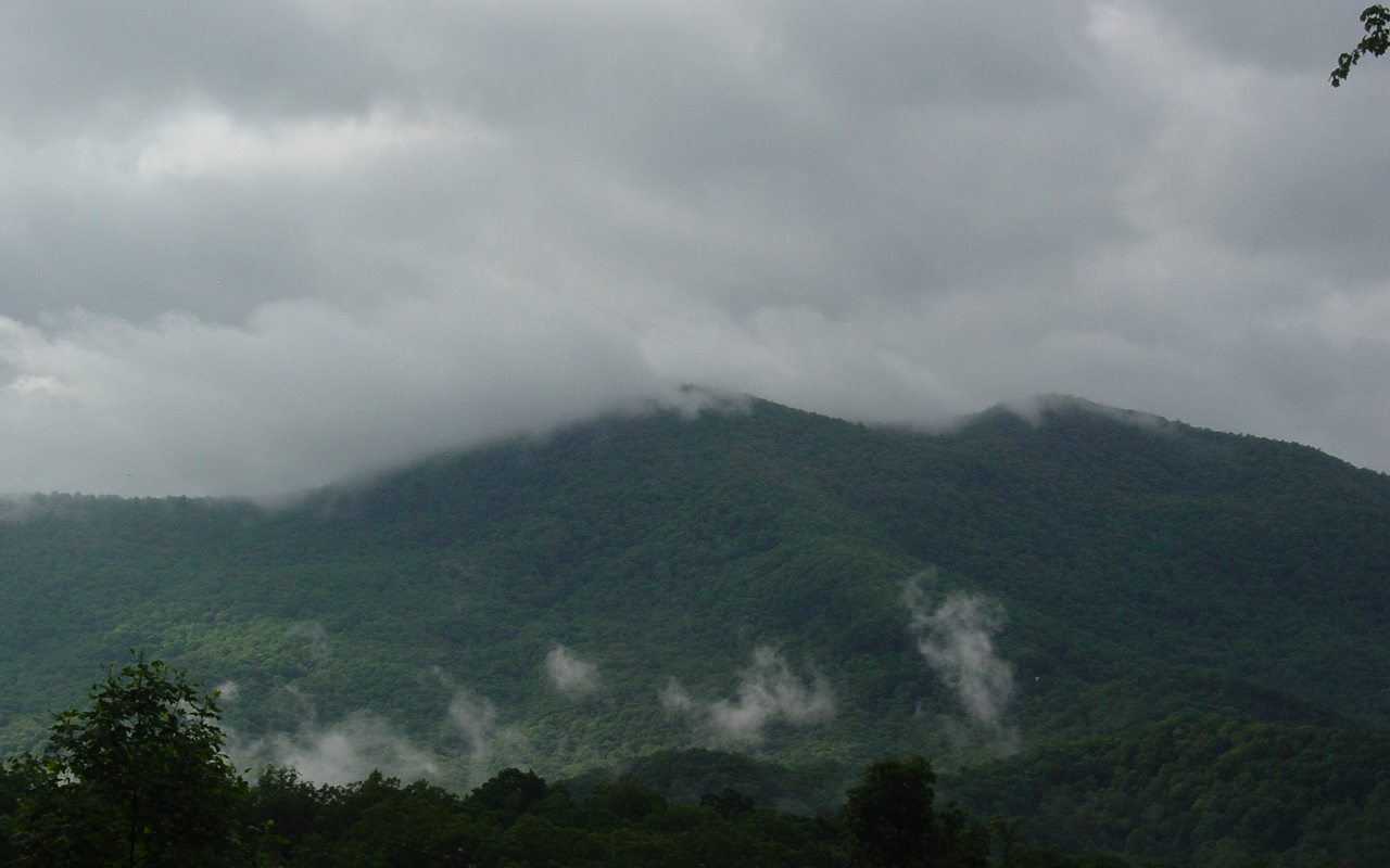 Additional View