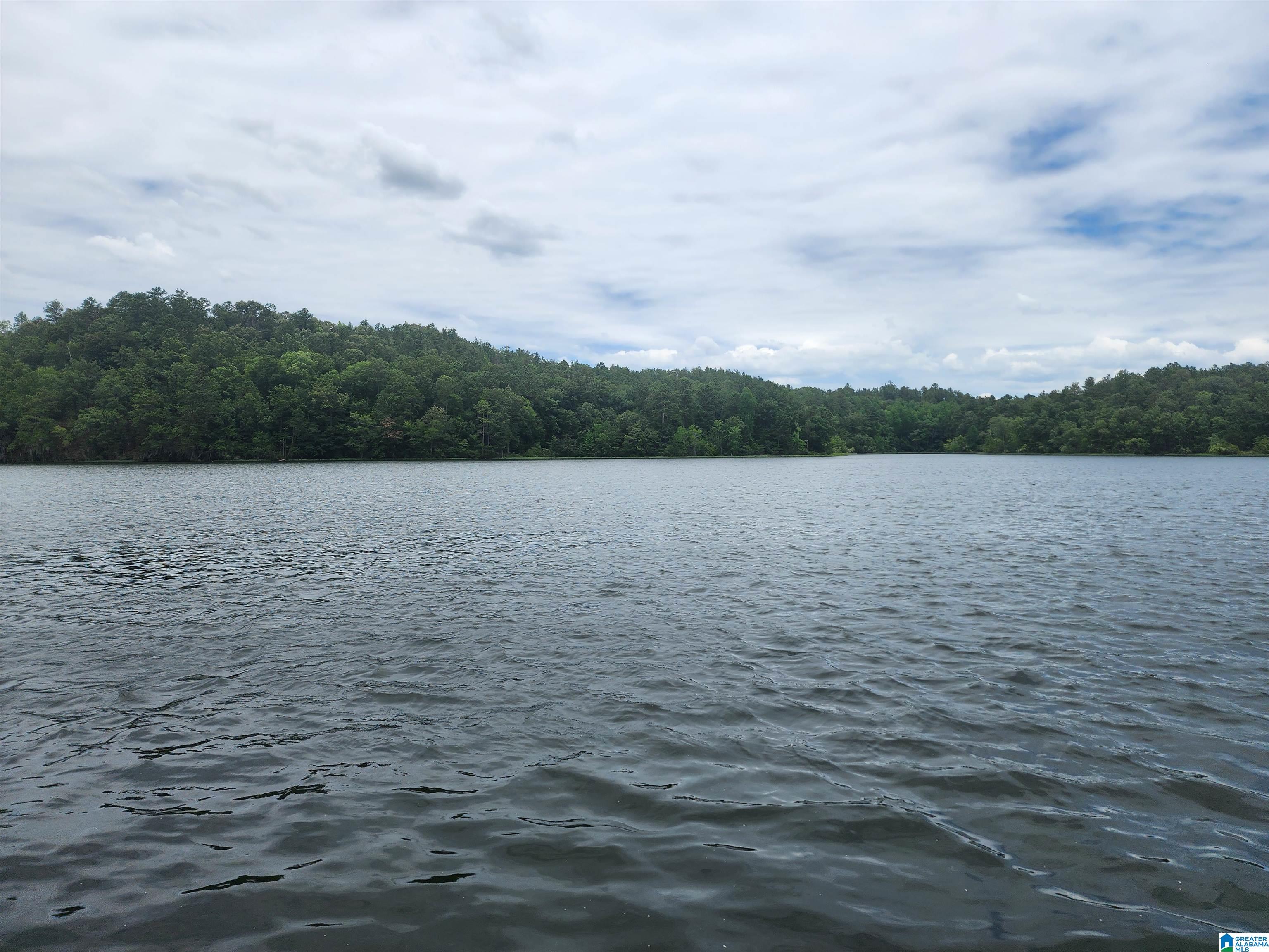 Lot 8 Eagle Mountain Road, Unit 8 Alexander City, AL 35010 - Photo 20 of 27