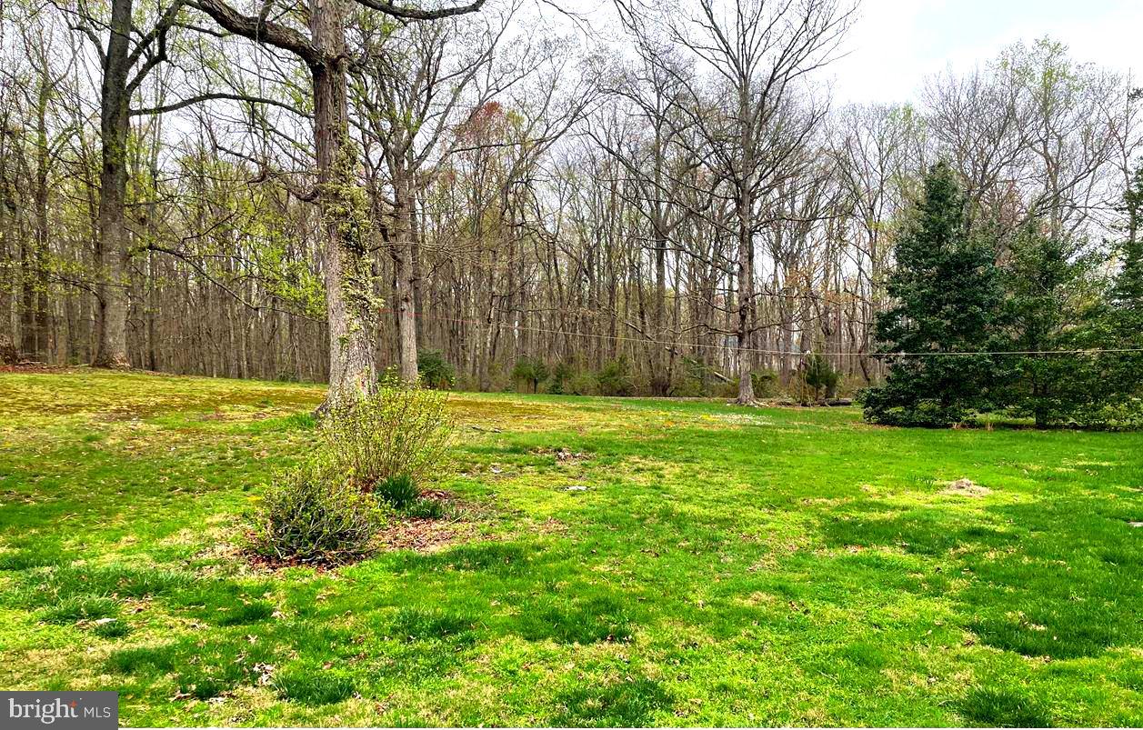 7428 Leeds Manor Road Marshall, VA 20115 - Photo 17 of 27