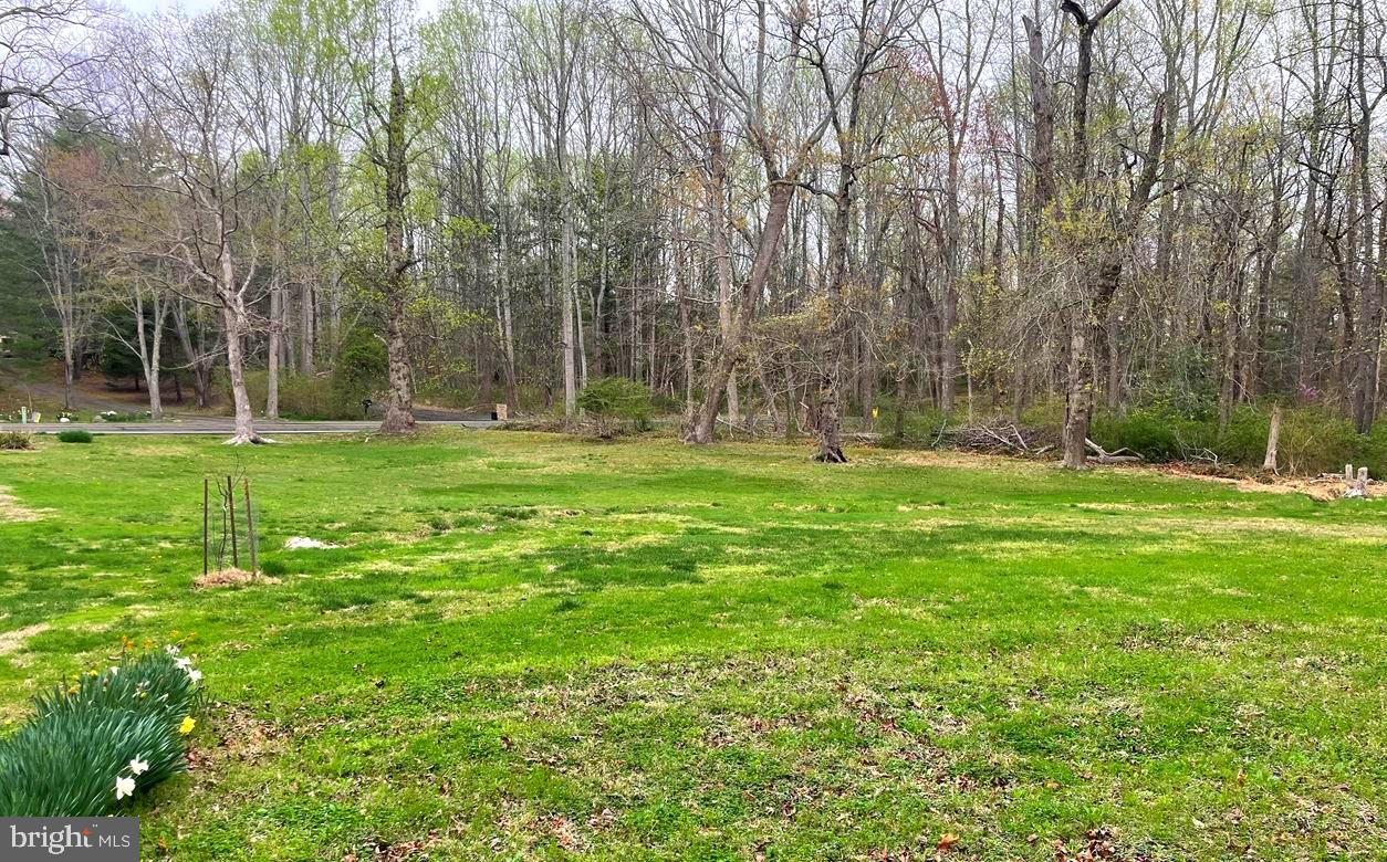 7428 Leeds Manor Road Marshall, VA 20115 - Photo 19 of 27