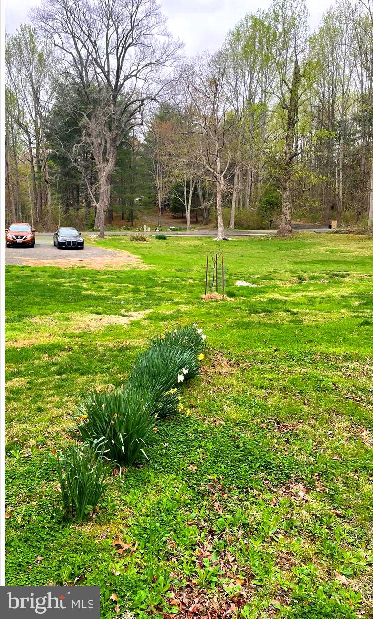 7428 Leeds Manor Road Marshall, VA 20115 - Photo 20 of 27