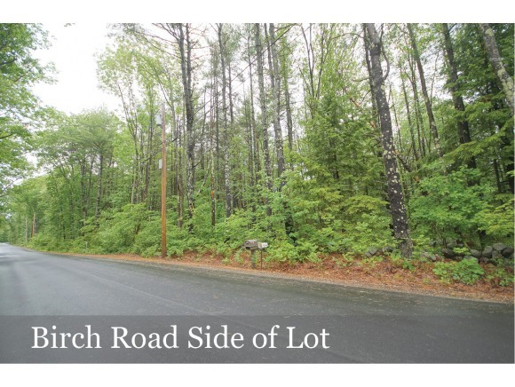 Lot 11-19 Candia Road Chester, NH 03036 - Photo 8 of 19