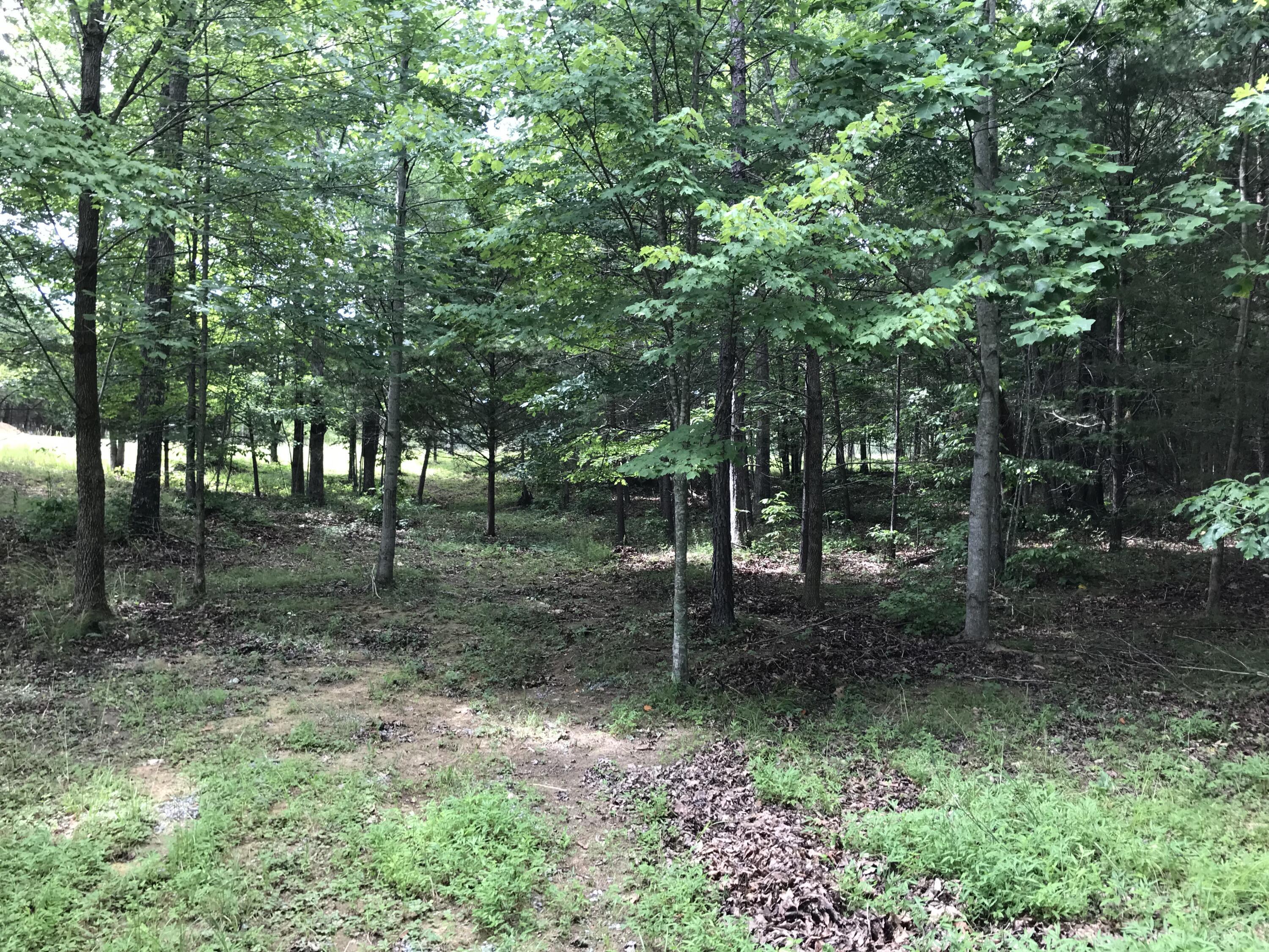 0 Quail Trail, Unit 38 Dunlap, TN 37327 - Photo 25 of 36 IMG_8519