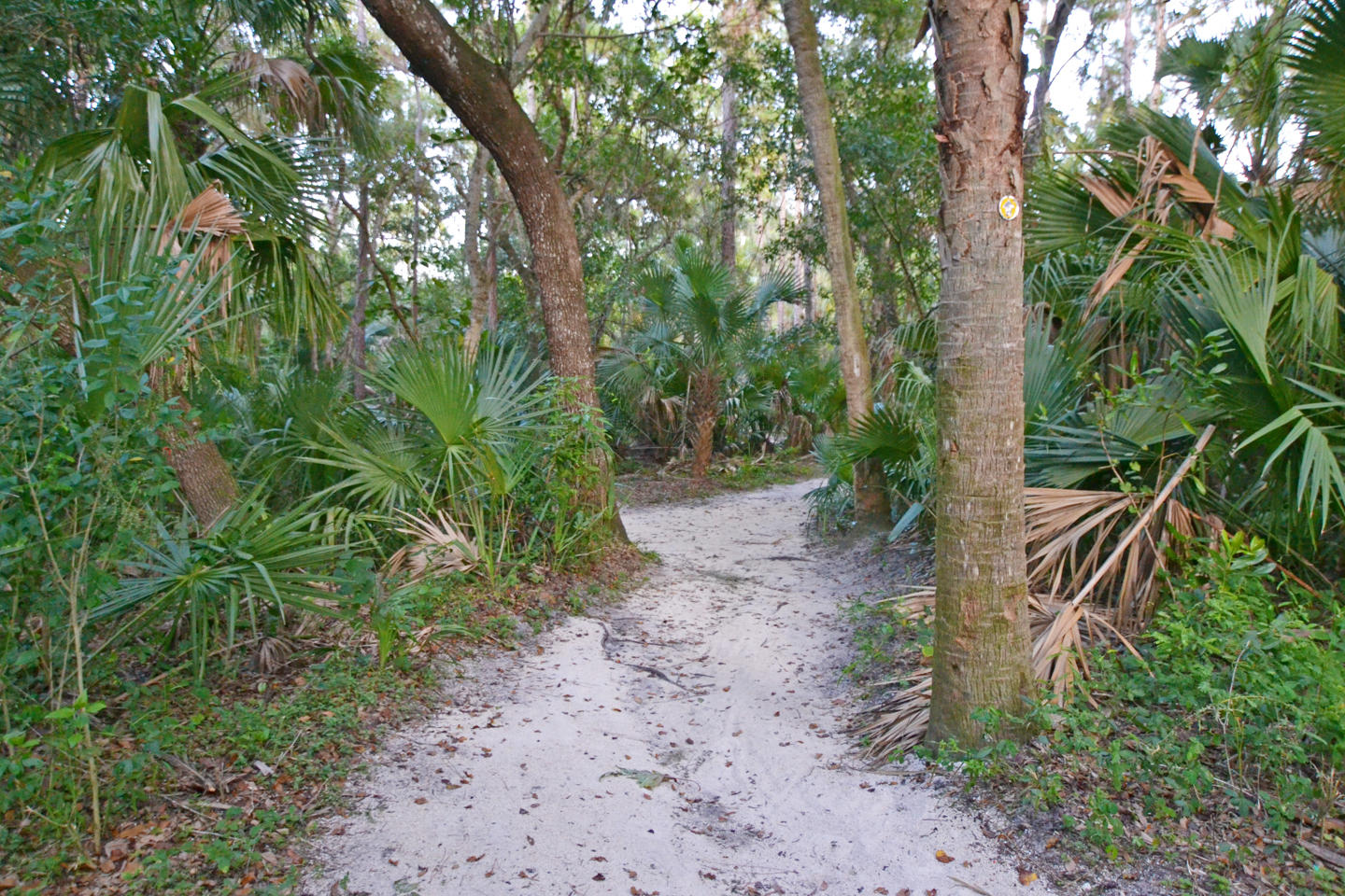 2026 Southwest Villanova Road Port St. Lucie, FL 34953 - Photo 21 of 22 edit-6