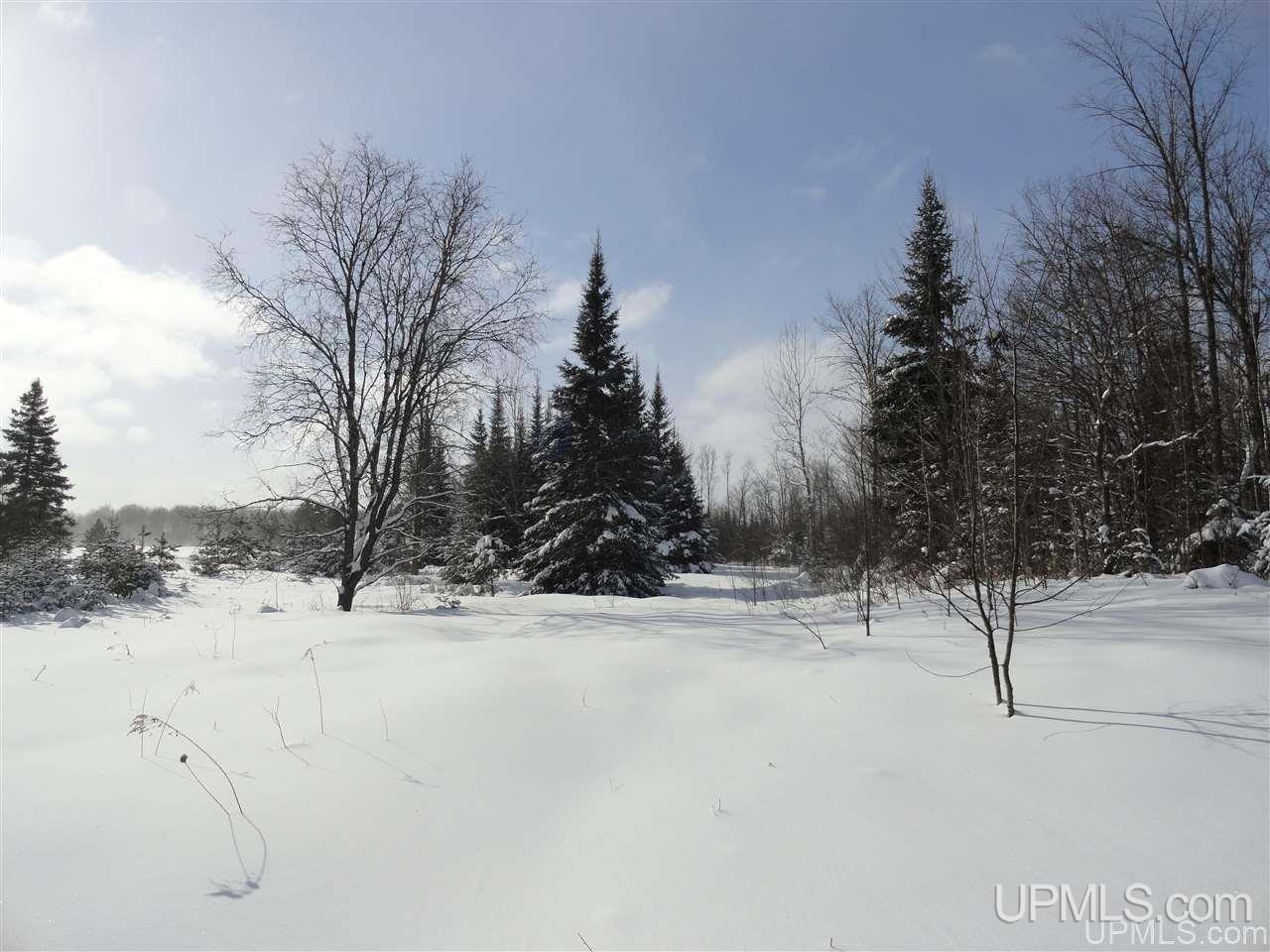 E4047 East Cold Springs Road Chatham, MI 49816 - Photo 26 of 33