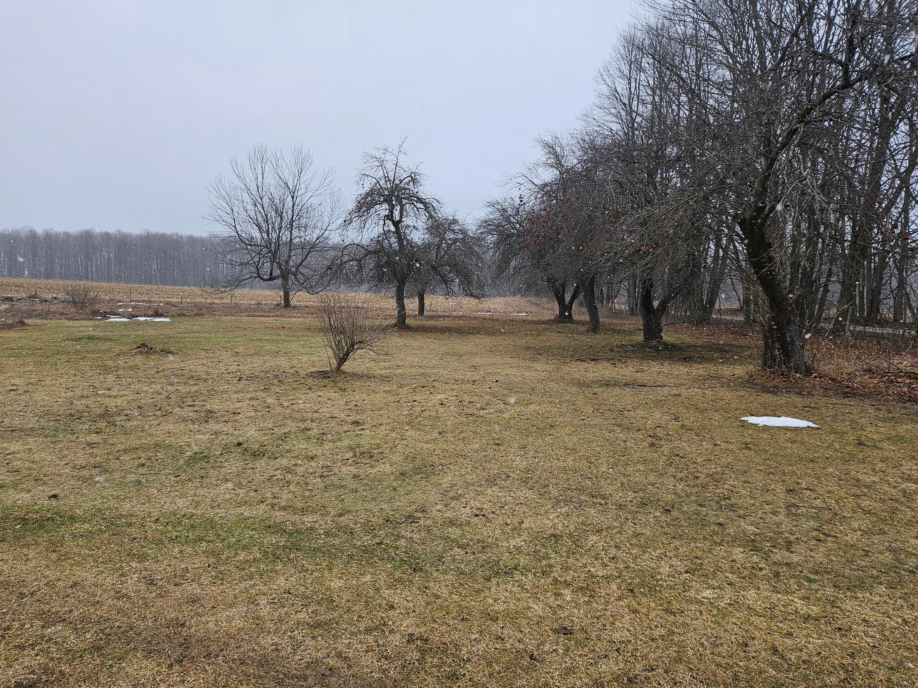 13640 Olsen Road Posen, MI 49776 - Photo 7 of 29 Gallery Image 7