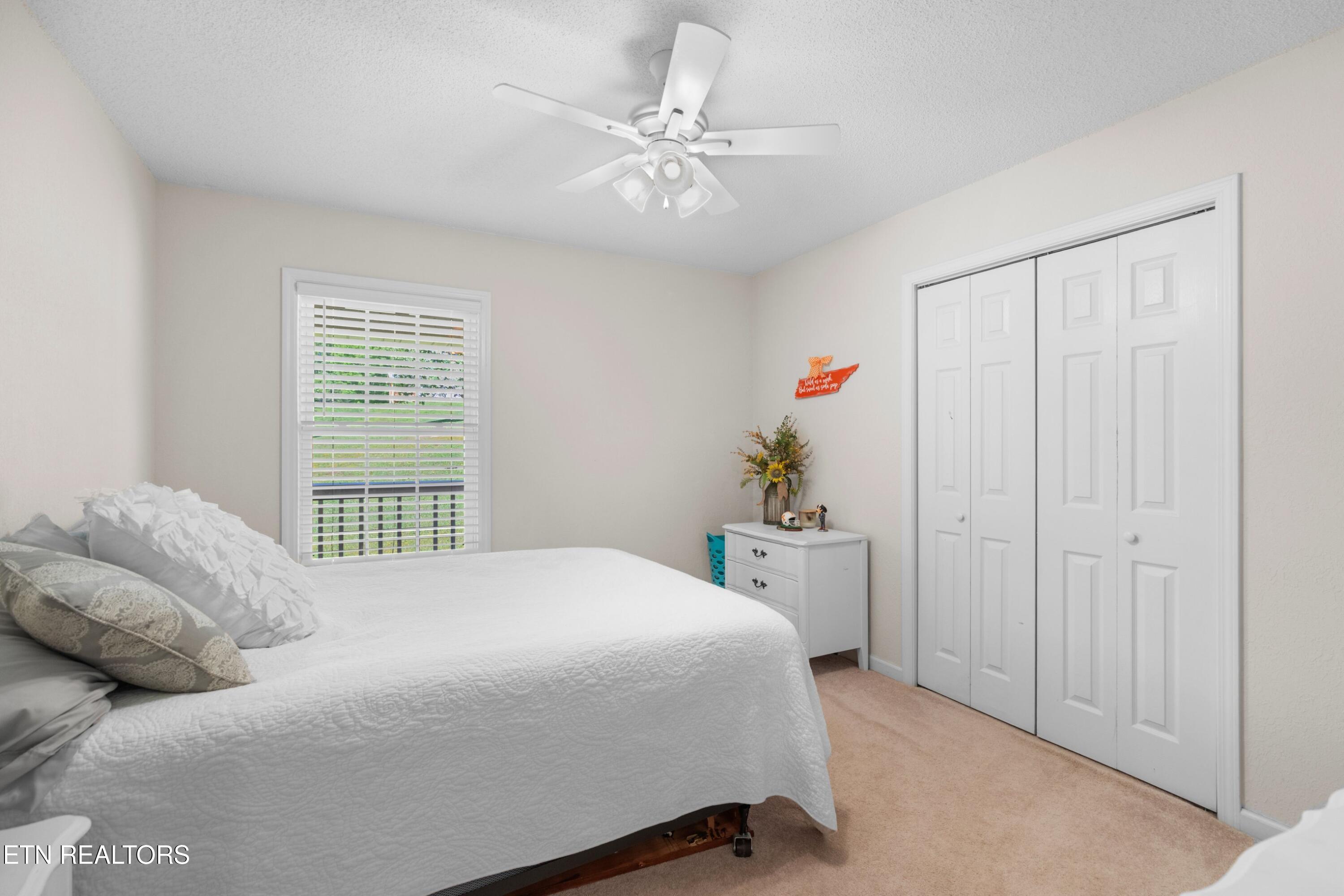2433 Green Road Cosby, TN 37722 - Photo 19 of 46 020-2433GreenRoad-Cosby-TN-37722-SMALL