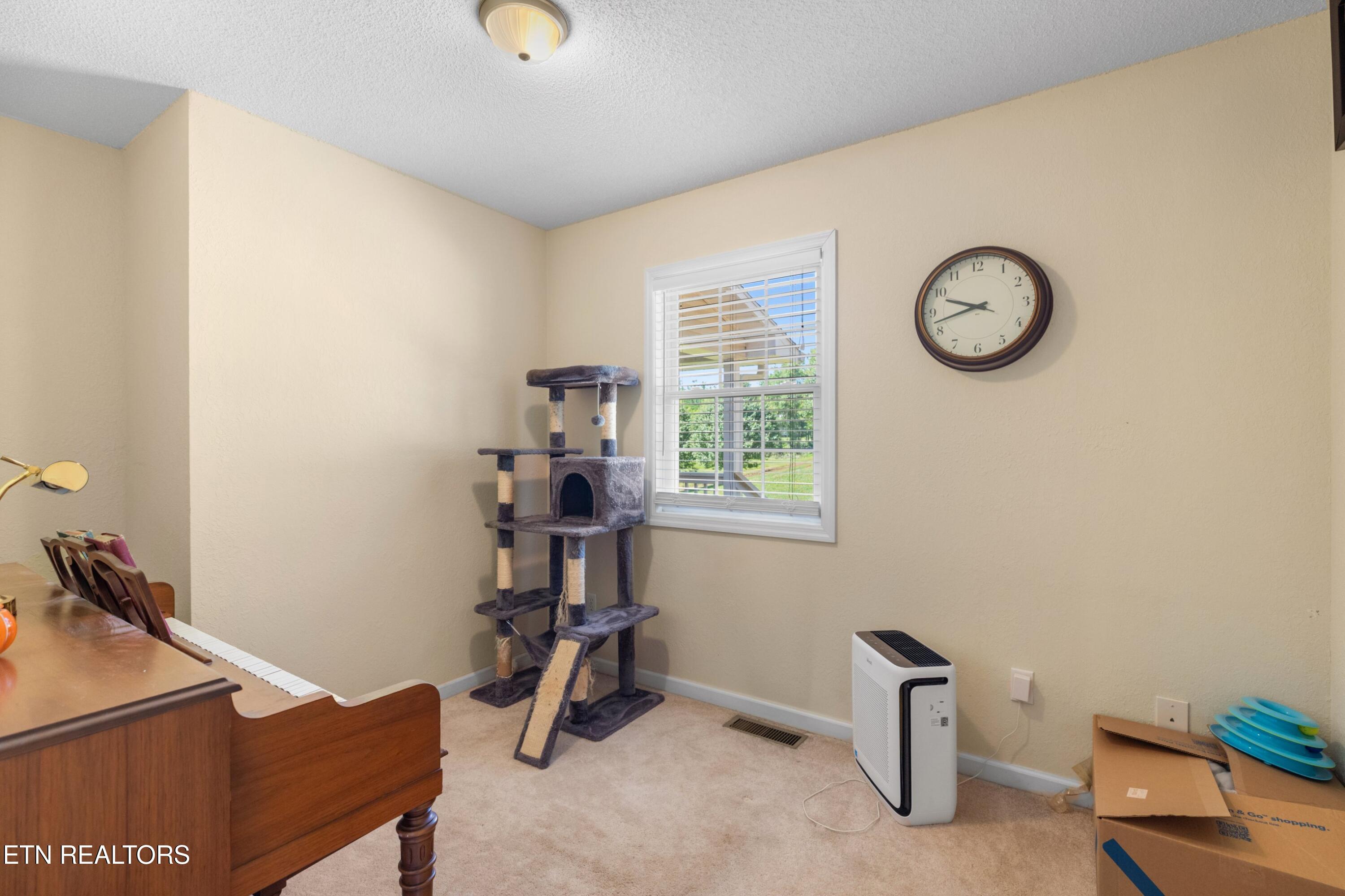 2433 Green Road Cosby, TN 37722 - Photo 25 of 46 026-2433GreenRoad-Cosby-TN-37722-SMALL