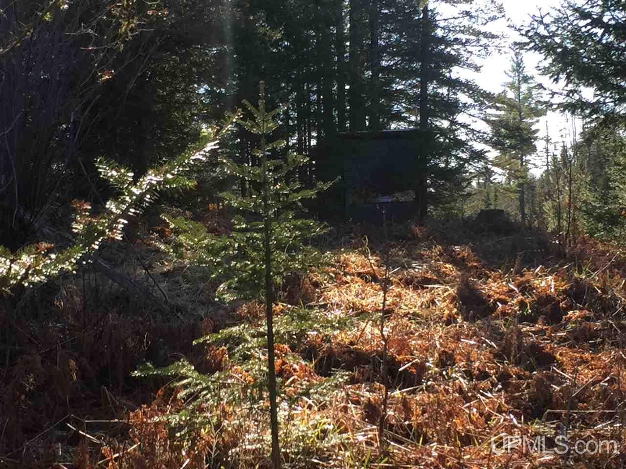 478 Rd Ishpeming Mi 49849 Road, Unit S80 Ishpeming, MI 49849 - Photo 3 of 18 Gallery Image 3
