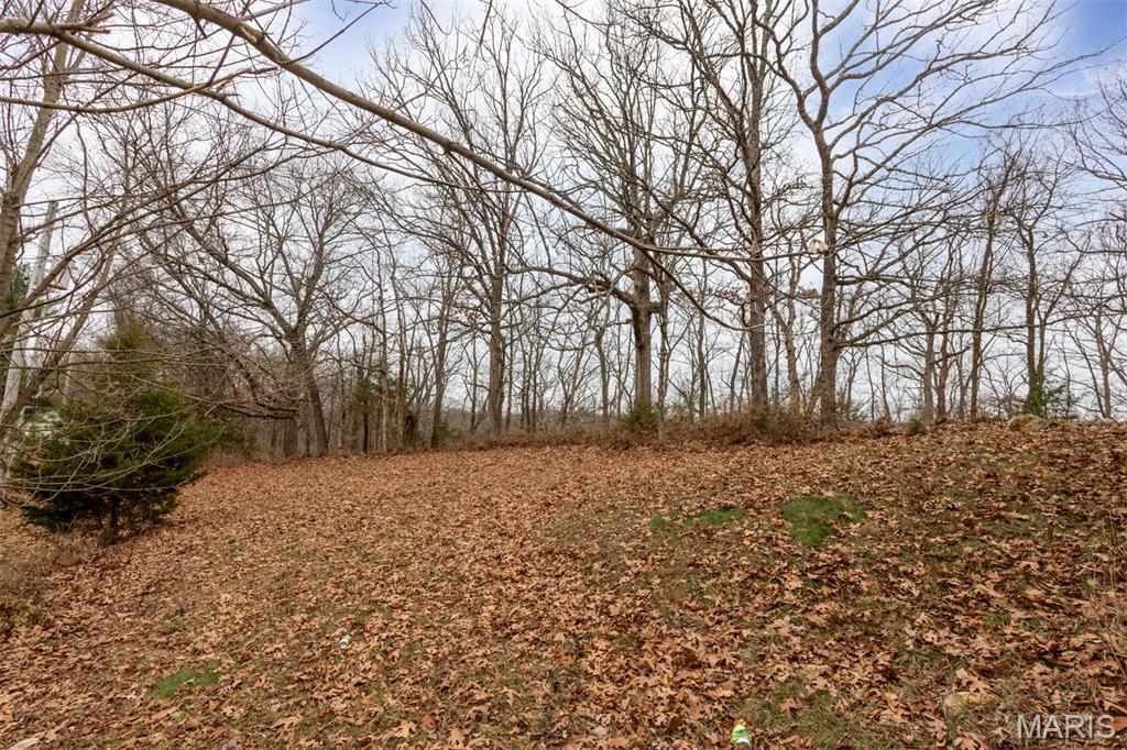 3602 Bouquet Road Wildwood, MO 63069 - Photo 5 of 44