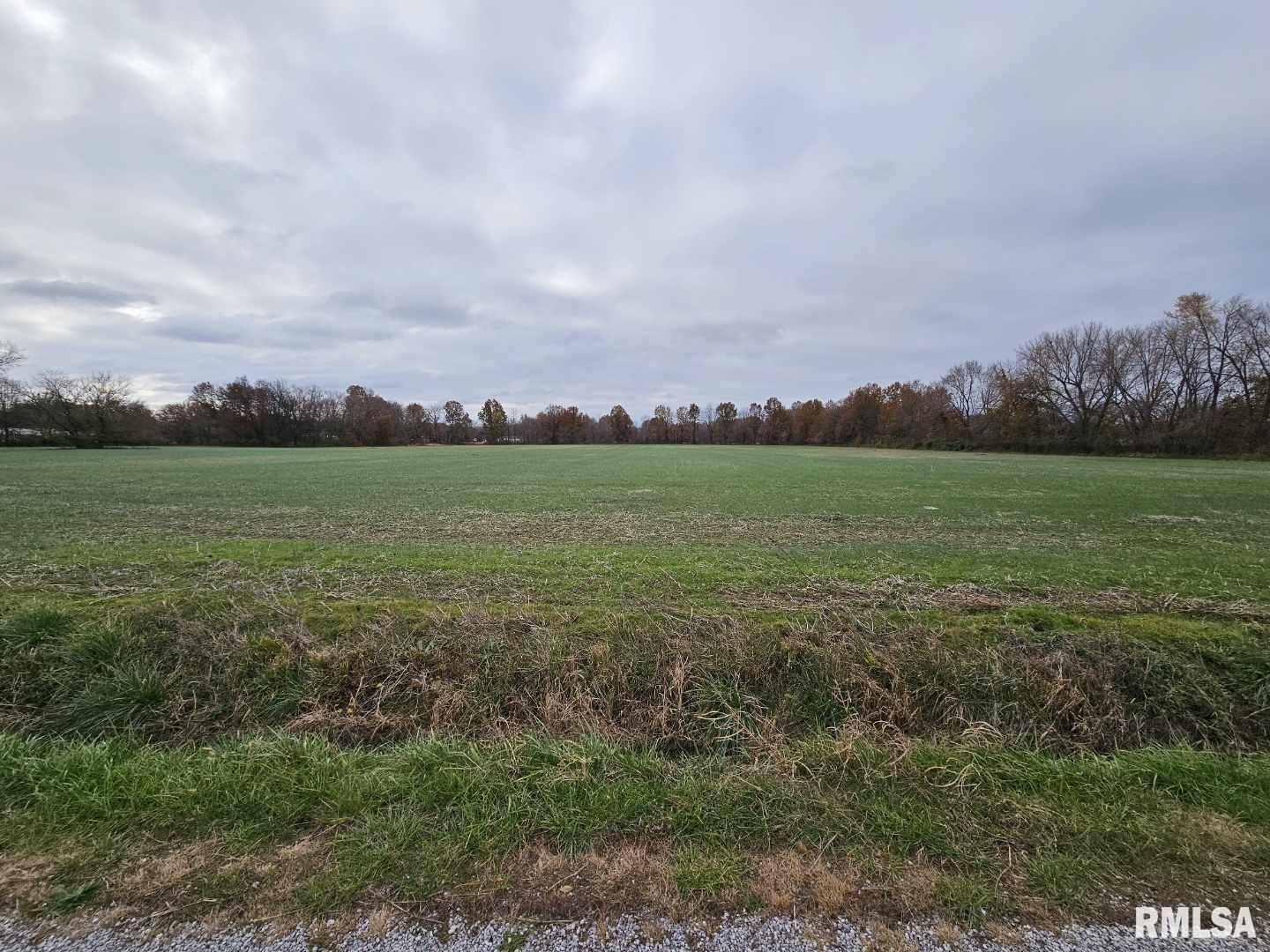 a view of a field with an trees in the background