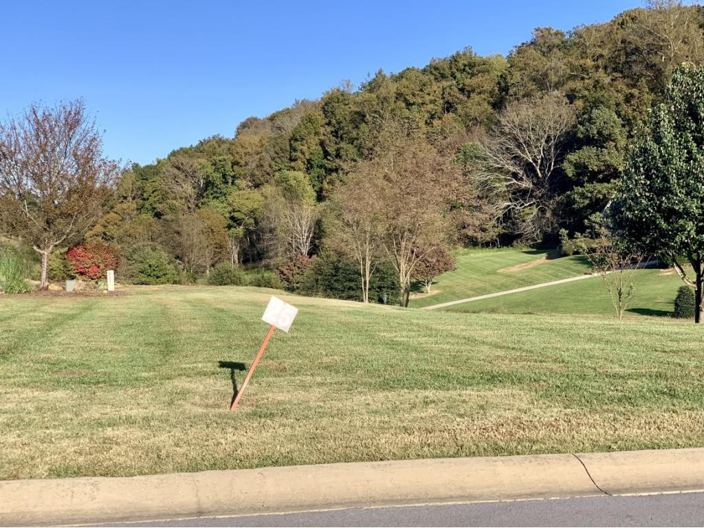 33 Quail Ridge Way, Unit 3&4 Jonesborough, TN 37659 - Photo 3 of 4 Lot 3 4