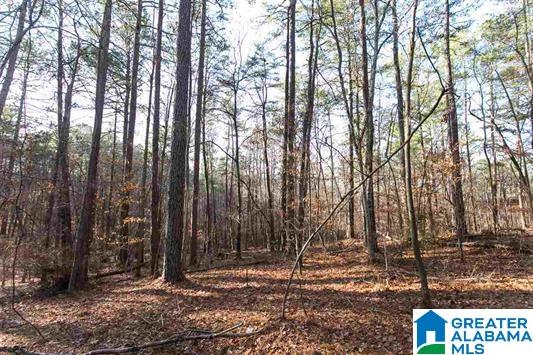 148 Kiowa Road, Unit 1 Remlap, AL 35133 - Photo 1 of 1